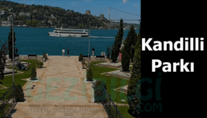 Kandilli Parkı Fotografcıların Uğrak Yeri