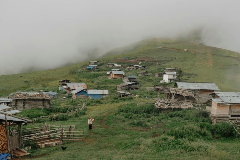 Artvin Yaylaları 2026’da Keşfedilecek Rotalar ve Doğal Güzellikler