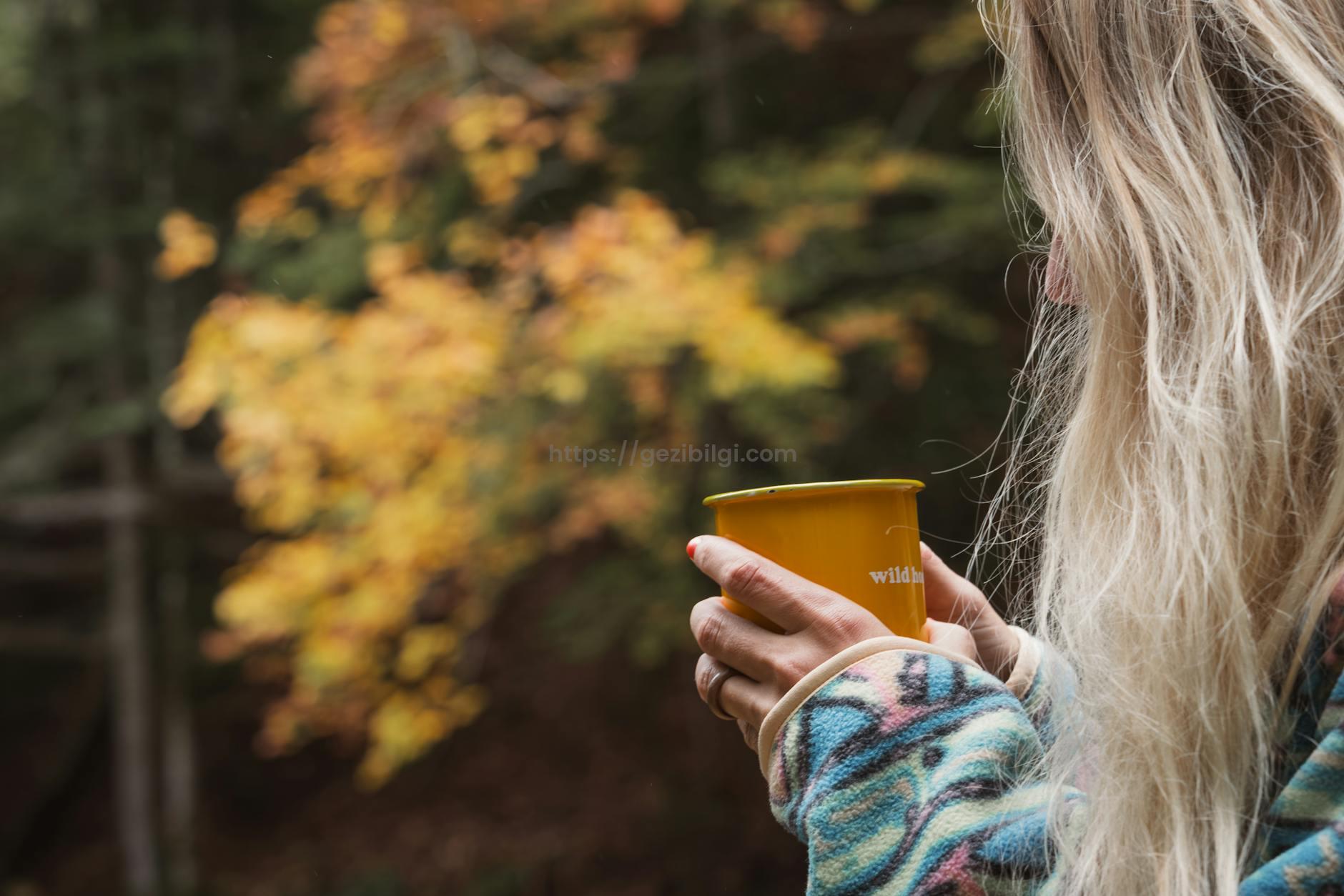 Orman Banyosu Shinrin-yoku Ruhunuzu Doğayla Yıkamanın Yolları
