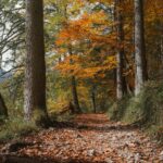 Doğa İnzivası 2026’da Dikkat Etmeniz Gerekenler